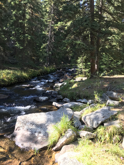 Middle Fork Campground USFS Buffalo, WY Campground Reviews